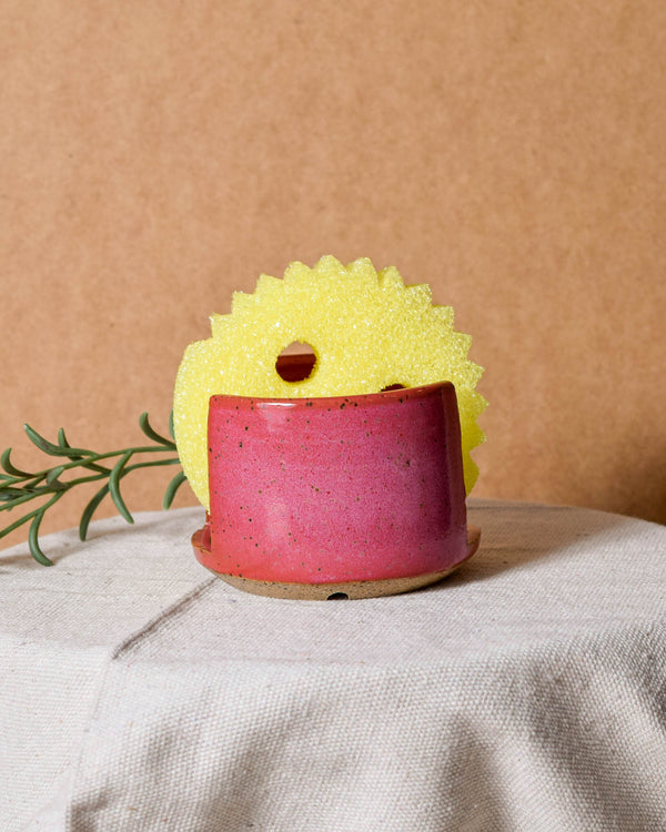 Raspberry Sponge Rest