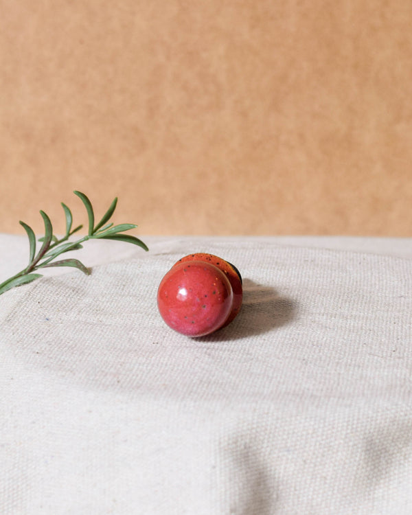 Raspberry Wine Stopper