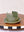 Green Tea Sponge Rest