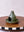 Green Tea Cone Incense Burner