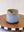 Sand and Sea Citrus Juicer and Pitcher Set