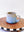 Sand and Sea Citrus Juicer and Pitcher Set